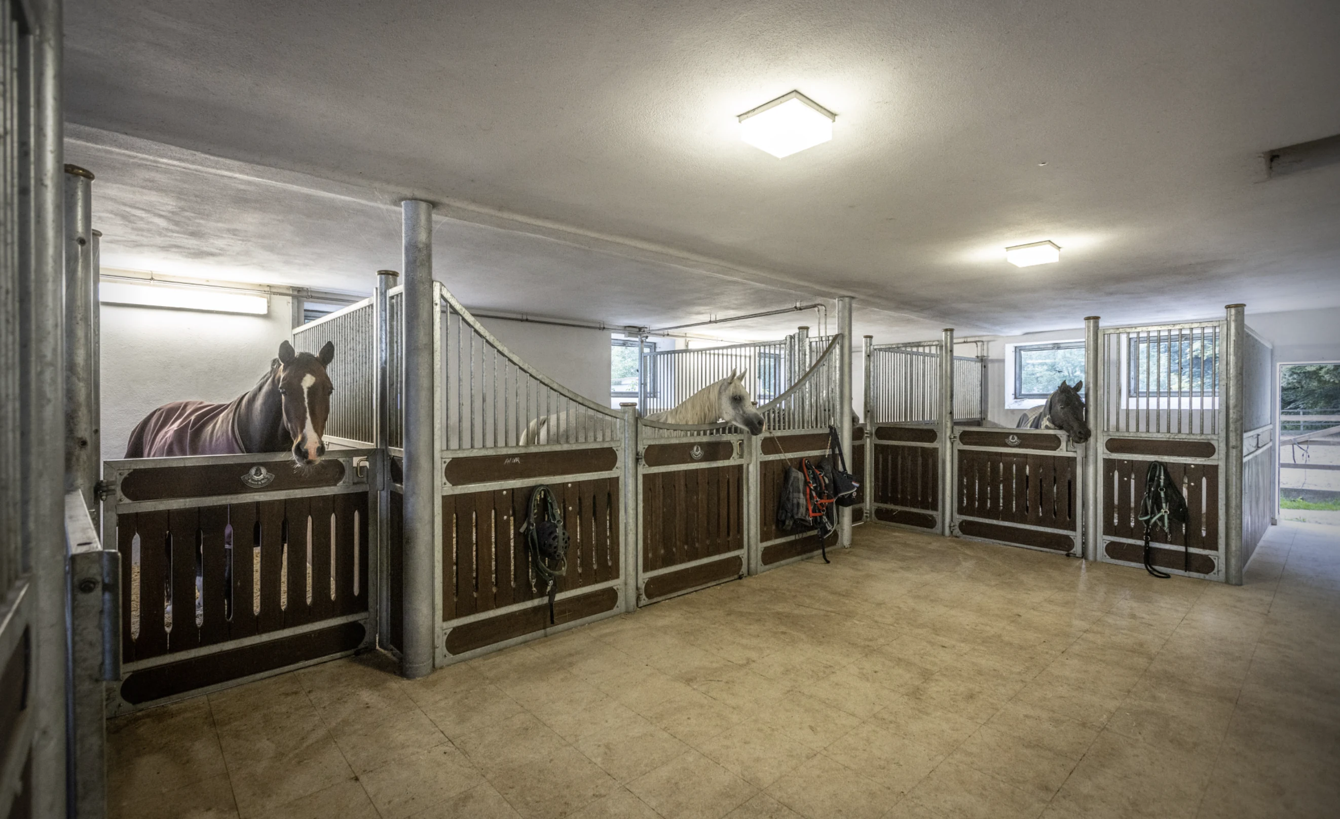 Horse stables at Villa Eulenthal